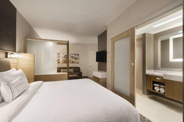 SpringHill Suites by Marriott Allentown Bethlehem/Center Valley image 11